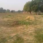 Overview of farm trees Grown using Rain water harvesting system 26102011301 150x150 Water management, Ground water recharge, rainwater harvesting Green Nature.
