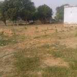 Overview of farm trees Grown using Rain water harvesting system 26102011302 150x150 Water management, Ground water recharge, rainwater harvesting Green Nature.