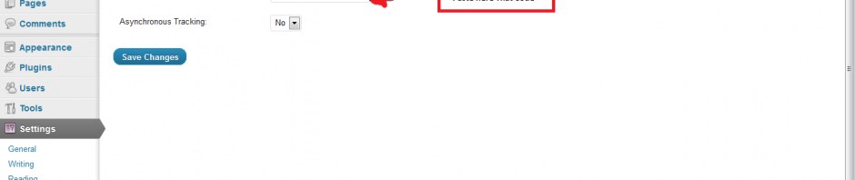 google analytics